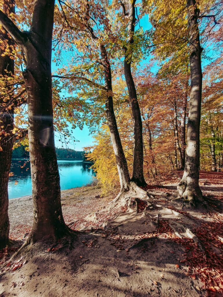 Jezioro Otomińskie